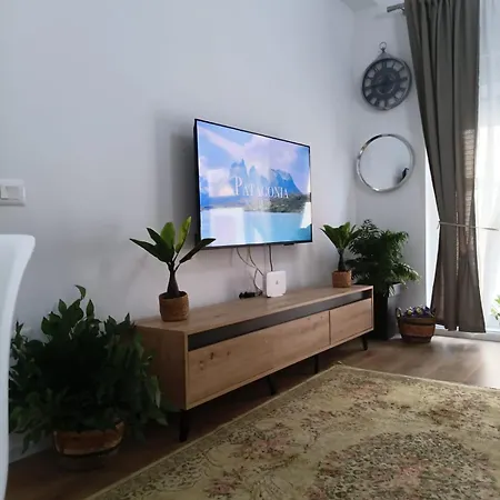 Violeta's Apartamento *